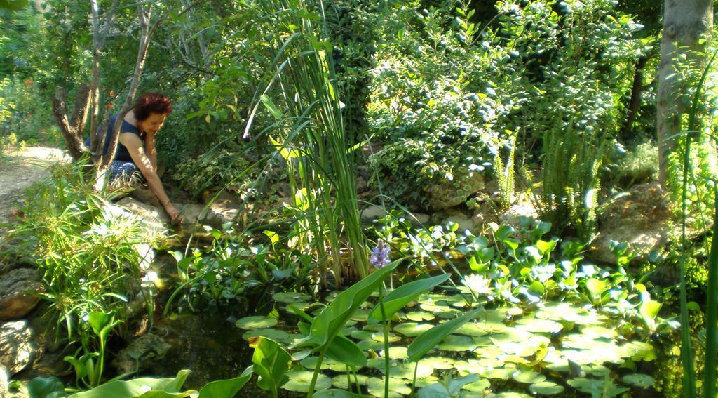 Suite with Garden View,209339173:JPEG